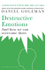 Fotoja e Destructive Emotions - Daniel Goleman, Picture 1