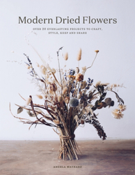 Fotoja e Modern Dried Flowers - Angela Maynard