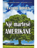 Fotoja e Nje Martese Amerikane - Tayari Jones, Picture 1