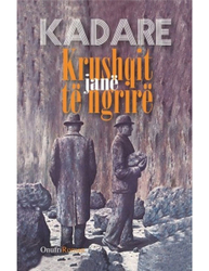 Fotoja e Krushqit Jane Te Ngrire - Ismail Kadare