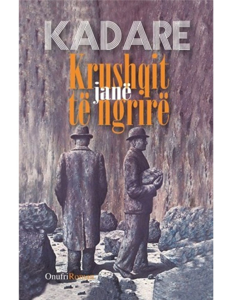 Fotoja e Krushqit Jane Te Ngrire - Ismail Kadare