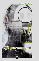 Fotoja e Nje Gur Mangut - Faruk Buzhala
