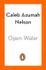 Fotoja e Open Water - Caleb Azumah Nelson, Picture 1