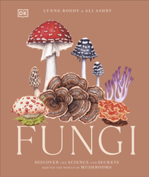 Fotoja e Fungi - Ali Ashby
