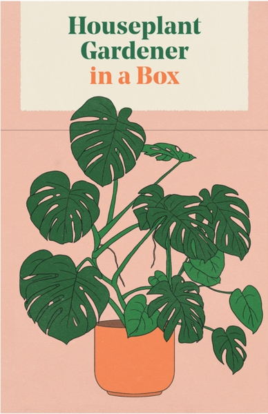 Fotoja e Houseplant Gardener In A Box - Jane Perrone