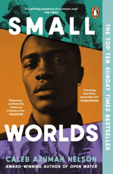 Fotoja e Small Worlds - Caleb Azumah Nelson