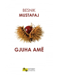 Fotoja e Gjuha Ame - Besnik Mustafaj