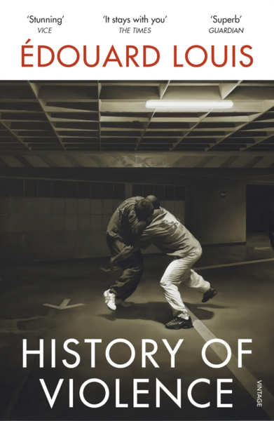 Fotoja e History Of Violence - Edouard Louis