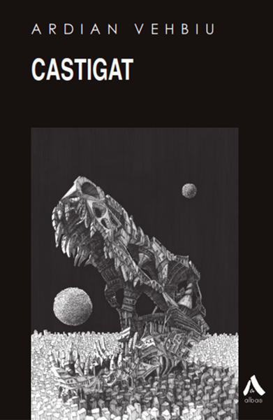 Fotoja e Castigat - Ardian Vehbiu