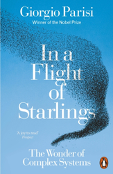 Fotoja e In A Flight Of Starlings - Giorgio Parisi