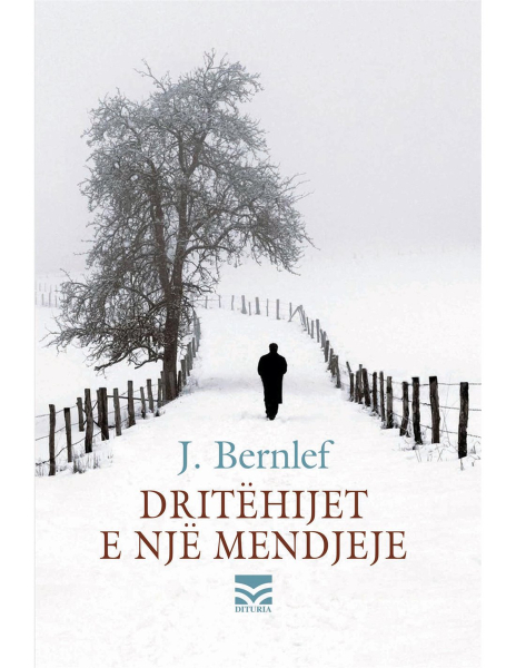 Fotoja e Dritehijet E Nje Mendjeje - J Bernlef