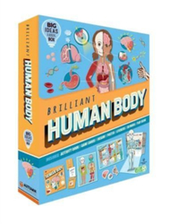 Fotoja e Brilliant Human Body - Autumn Publishing