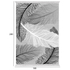 Fotoja e Tepih ndenjeje 180×280 cm (HM7723.38), Picture 2