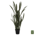 Fotoja e Bimë sintetike SANSEVIERIA (HM7994.02), gjelbër, Picture 1