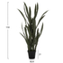 Fotoja e Bimë sintetike SANSEVIERIA (HM7994.02), gjelbër, Picture 2