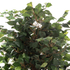 Fotoja e Bimë sintetike Pema Banyan 136cm (HM7992), Picture 6