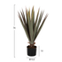 Fotoja e Bimë dekorative sintetike sisal agave Φ13.5×13–76 cm (HM7985), Picture 2