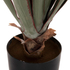 Fotoja e Bimë dekorative sintetike sisal agave Φ13.5×13–76 cm (HM7985), Picture 4