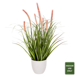 Fotoja e Bimë dekorative sintetike Bristlegrass Φ14,5 (HM4029)