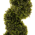 Fotoja e Bimë dekorative sintetike boxwood Φ18 (HM4022), Picture 3
