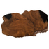 Fotoja e Tavolinë për kafe Glaze druri teak (HM9750), zezë, Picture 7