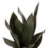 Fotoja e Bimë dekorative sintetike broadleaf sansevieria Φ14×12–51 cm (HM7996), Picture 3