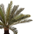 Fotoja e Bimë sintetike Spike-Leaf Palm në vazo (HM7983), Picture 3