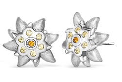 Fotoja e Vathë për femra Crystalp Edelweiss sCR0115, të argjendtë
