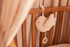 Fotoja e Loder me muzike- Lovely Birds, Picture 2