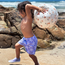 Fotoja e Shortse noti | Seastar Lila | për djem  146/152