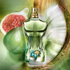 Fotoja e Eau de Parfum Jean Paul Gaultier Le Beau Paradise Garden, 75 ml, Picture 4