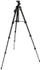 Fotoja e [OUTLET] Mbajtëse tripod Rollei për telefon dhe aparatë fotografik, Picture 3