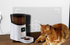 Fotoja e [OUTLET] Prizë smart Sonoff S26 R2 Type E, Picture 8