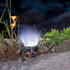 Fotoja e Stovë me gaz për kamping Firemaple FMS-105, portokalltë, Picture 6