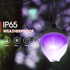 Fotoja e Drita Led SONIT Rose String-WIFI, Picture 2