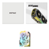 Fotoja e Kartelë grafike Zotac GAMING GeForce RTX 5060 Twin Edge OC NVIDIA 8 GB GDDR7, Picture 6