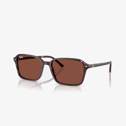 Fotoja e Ray-Ban RB2231 1416C5 58
