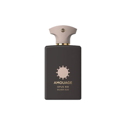 Fotoja e Amouage Opus Xiii Silver Oud