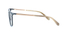Fotoja e Syze Optike Ted Baker 4286 905, Picture 5