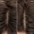 Fotoja e Koncentrat pastrues për skalp Biolage Scalp Sync Purifying Scalp Concentrate, 200 ml, Picture 2