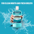 Fotoja e Ujë pastrues Lasterine Cool Mint 95 ml, Picture 2