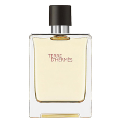Fotoja e Eau de Toilette Hermes Terre D'Hermes, 100ml