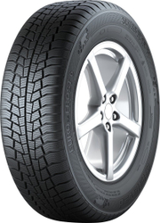 Fotoja e Gomë 225/45R18 95V M+S E*F6 GIS