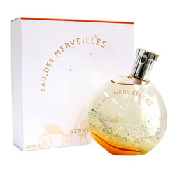 Fotoja e Eau de Toilette Hermes Eau Des Merveilles, 100 ml