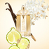 Fotoja e Eau de Parfum Thierry Mugler Alien Goddess, 60 ml + 10 ml + losion trupi 50 ml, Picture 2