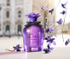 Fotoja e Set për femra Dolce & Gabbana Violet, EDT 75 ml + EDT 10 ml, Picture 3