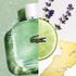 Fotoja e Eau de Toilette Lacoste L.12.12. Blanc Eau Fraîche, 100 ml, Picture 4