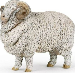 Fotoja e Figurë Papo - Delja Merino
