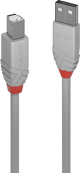 Fotoja e Kabllo Lindy USB USB-A - USB-B, 5m, e hirtë