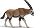 Fotoja e Figurinë e antilopës Papo Oryx (401239), Picture 1
